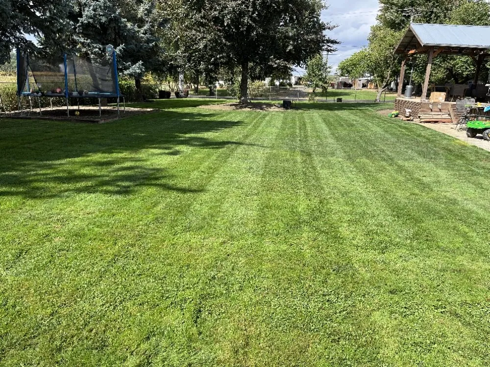 Expert landscaping services in Keizer, OR by Landscape Torres