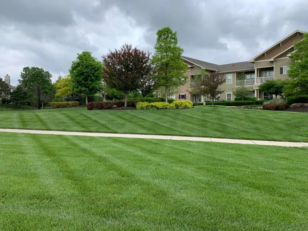 Custom yard cleanup service in Machesney Park, IL - Landscape Unlimited