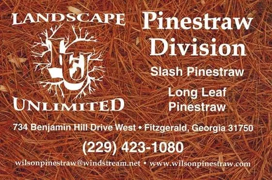 Expert yard cleanup service for beautiful yards in Fitzgerald, GA by Landscape Unlimited Pinestraw