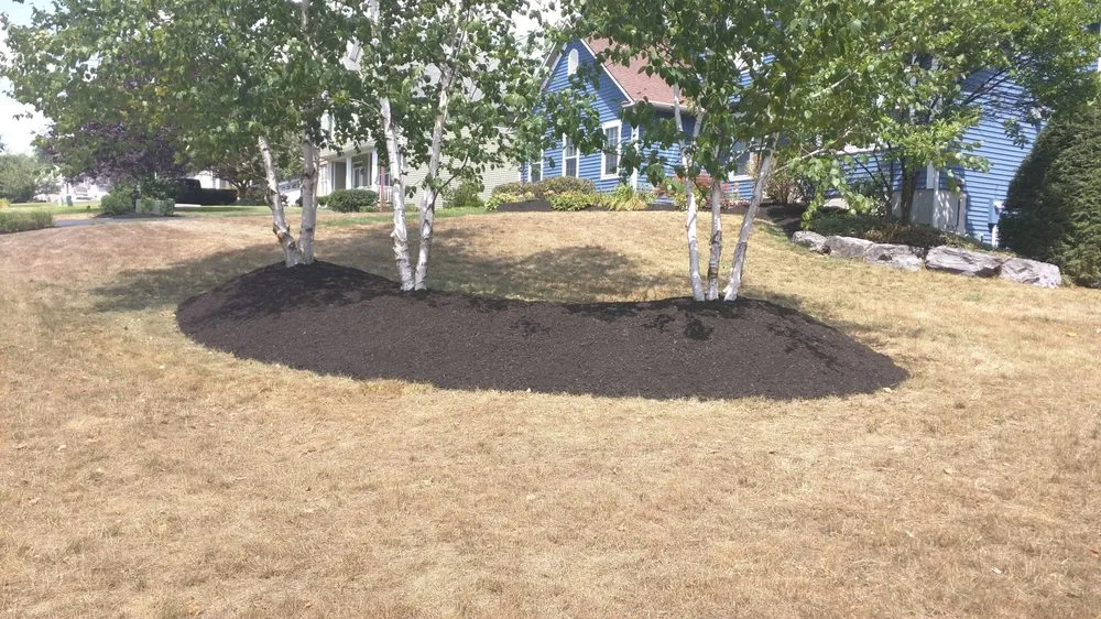 Reliable outdoor landscaping in Liverpool, NY - Landscape Urgent Care