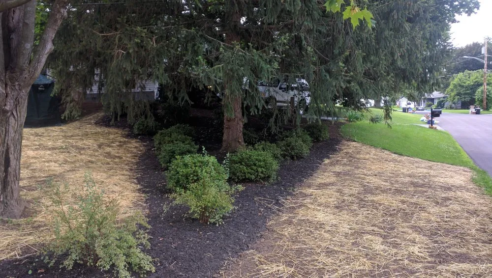Expert residential landscaping with custom design across Liverpool, NY - Landscape Urgent Care