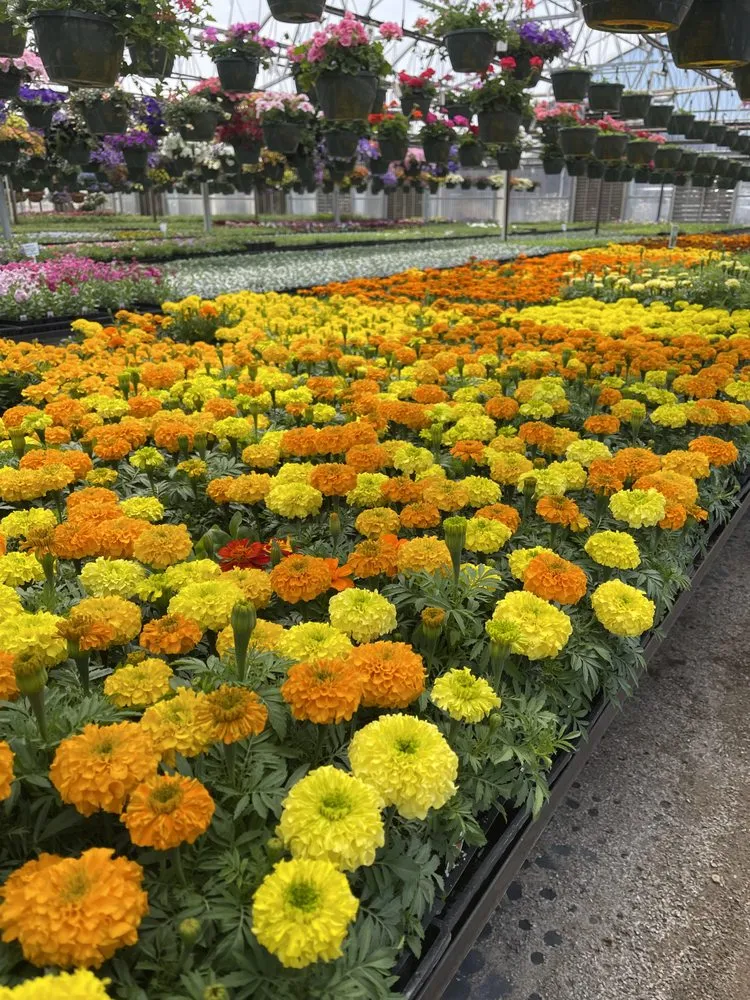 Top-rated garden landscaping for residential properties across Durango, CO - Landscape Wise