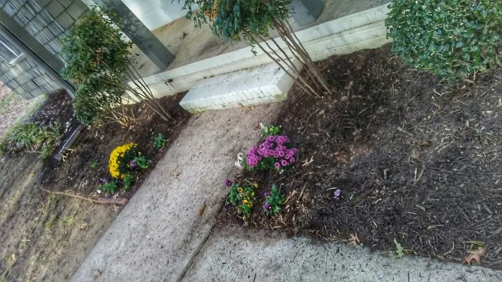 Professional landscape design in Springdale, AR by Landscape Workshop Lawn Services