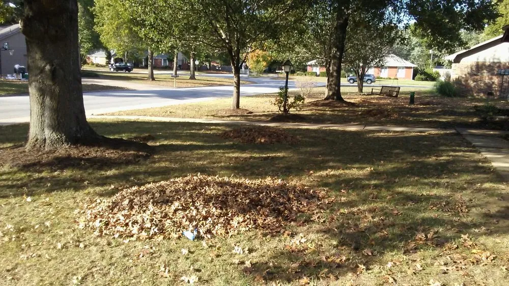 Top-rated lawn care service in Springdale, AR - Landscape Workshop Lawn Services