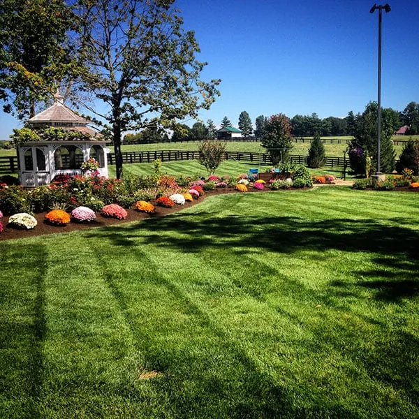 Reliable residential landscaping in Lexington, KY by Landscape Workshop