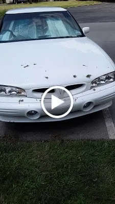 Professional yard cleanup service for residential properties in Lexington, KY by Landscape Workshop