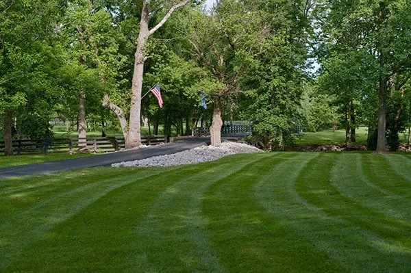 Expert garden landscaping with custom design across Lexington, KY - Landscape Workshop