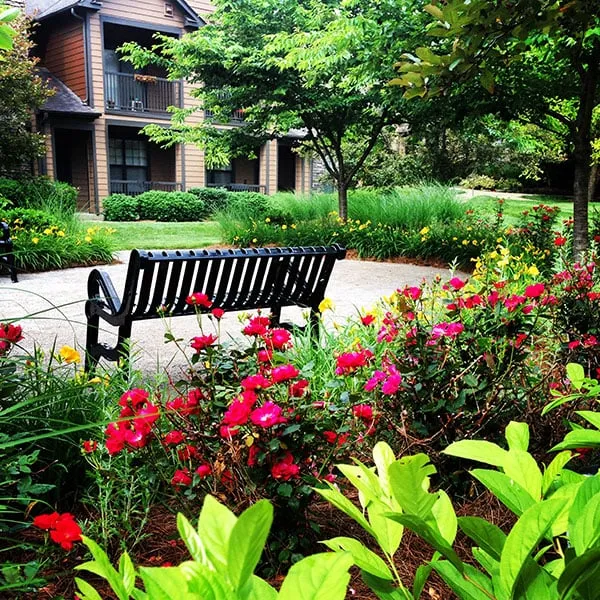 Affordable garden landscaping experts serving Lexington, KY - Landscape Workshop