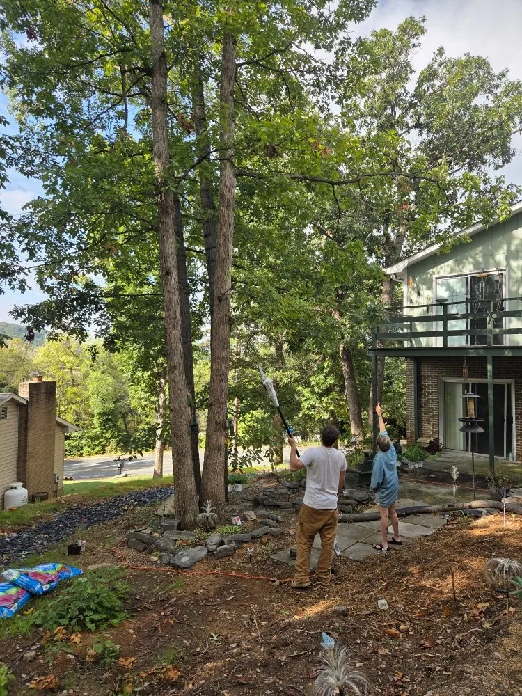 Expert yard cleanup service in Front Royal, VA by Landscape Zen By Her Design