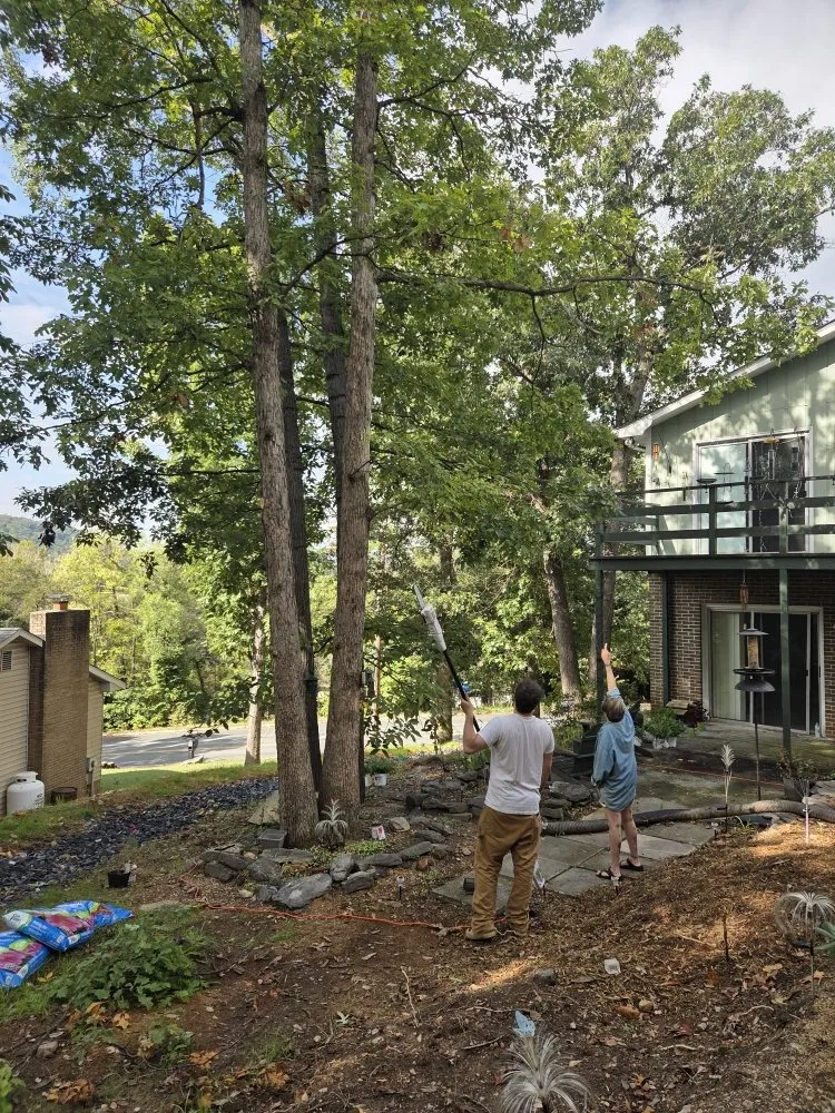 Top-rated yard cleanup service experts serving Front Royal, VA - Landscape Zen By Her Design