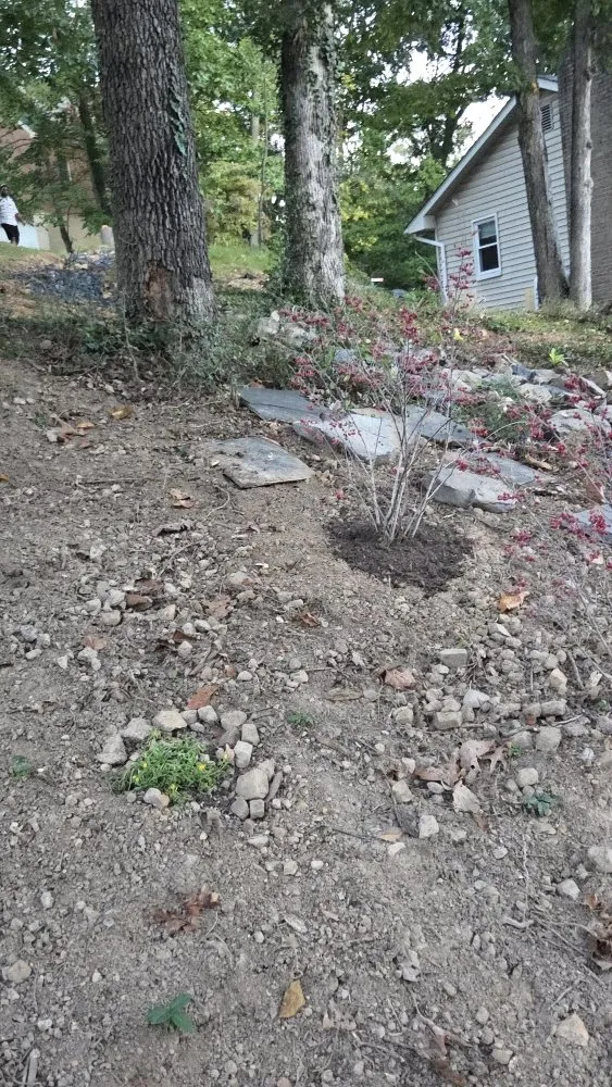 Local yard cleanup service for beautiful yards across Front Royal, VA - Landscape Zen By Her Design