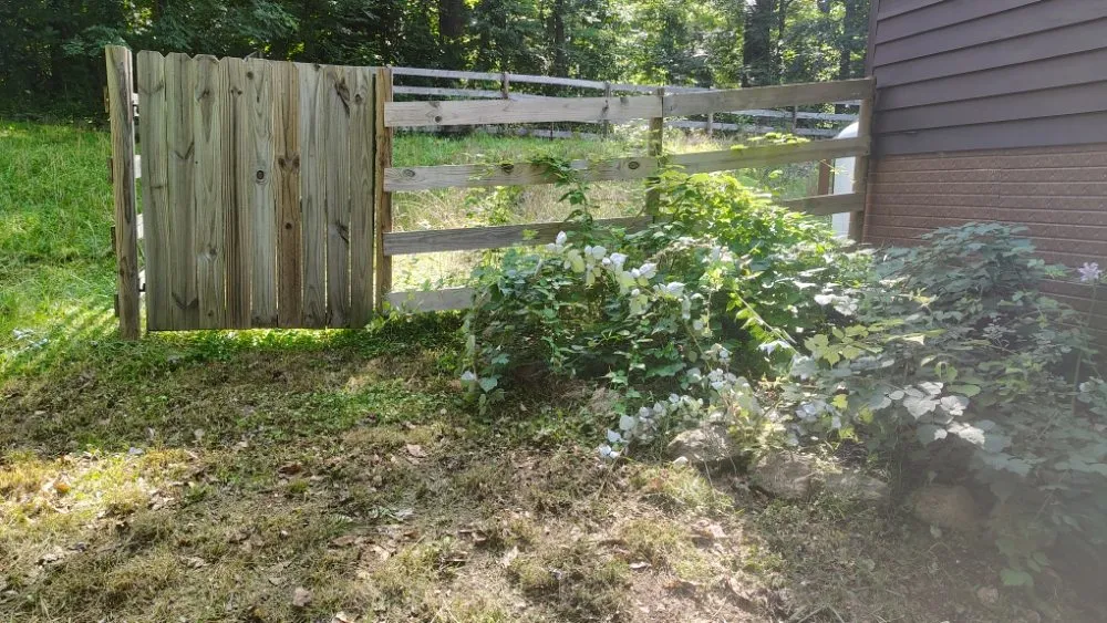 Professional landscaping services in Front Royal, VA - Landscape Zen By Her Design