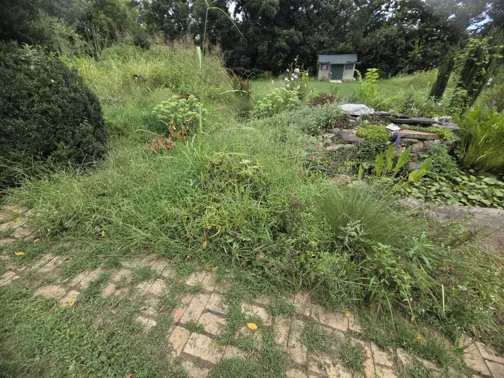 Reliable yard cleanup service in Front Royal, VA - Landscape Zen By Her Design