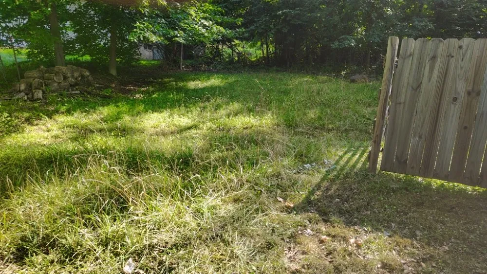 Top-rated yard maintenance for year-round maintenance across Front Royal, VA - Landscape Zen By Her Design