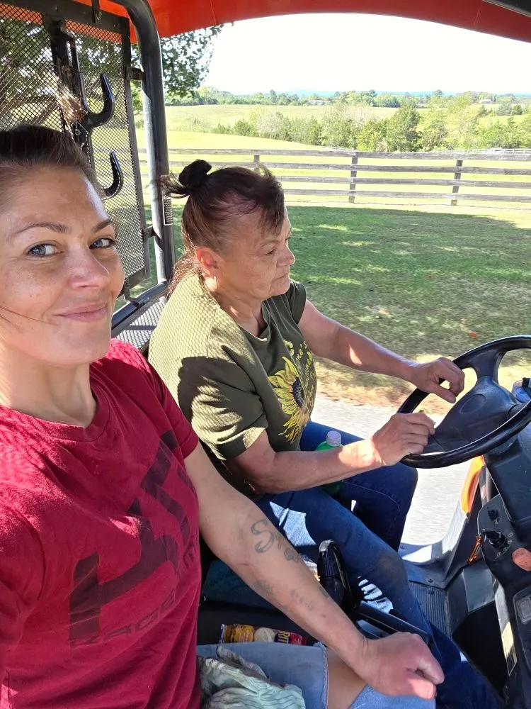 Expert lawn care service for beautiful yards across Front Royal, VA - Landscape Zen By Her Design