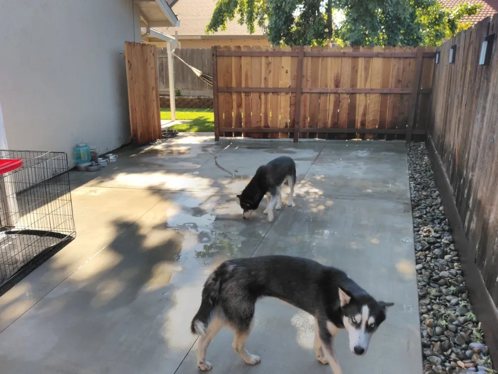 Affordable yard cleanup service near you across Modesto, CA - Landscapeable