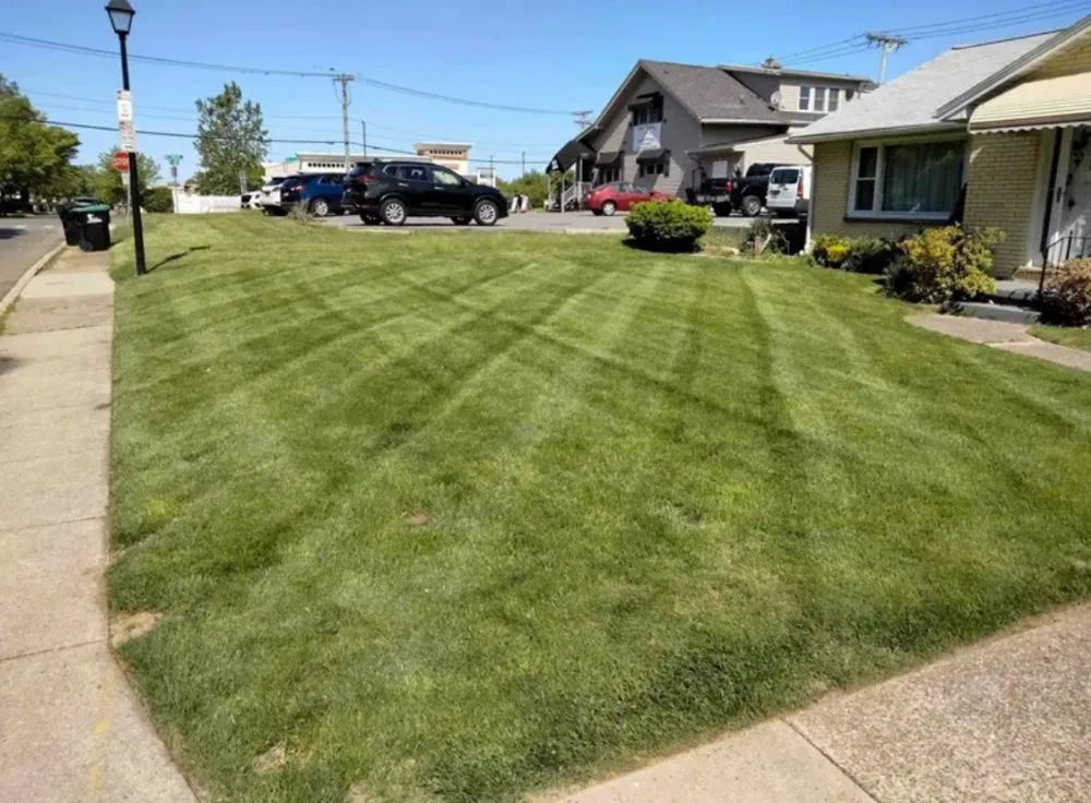 Local garden landscaping near you in Chicago, IL by Landscapeer