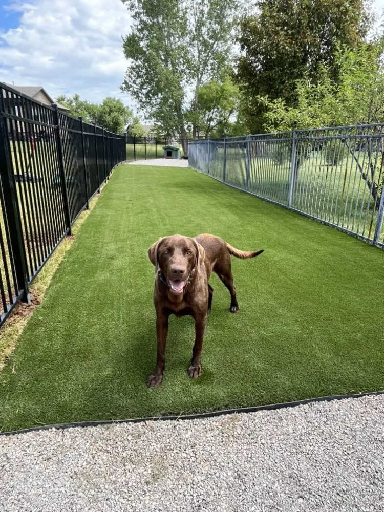 Affordable landscaping services with custom design in Wichita, KS by LandscapeKing