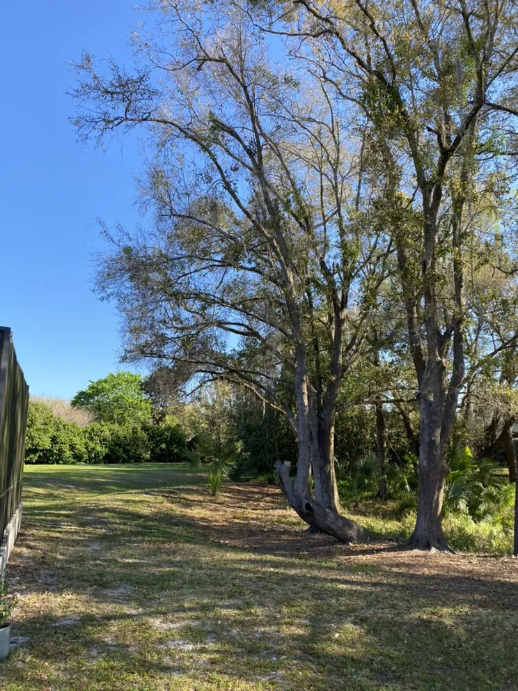 Professional landscape installation in Spring Hill, FL - Landscapeology