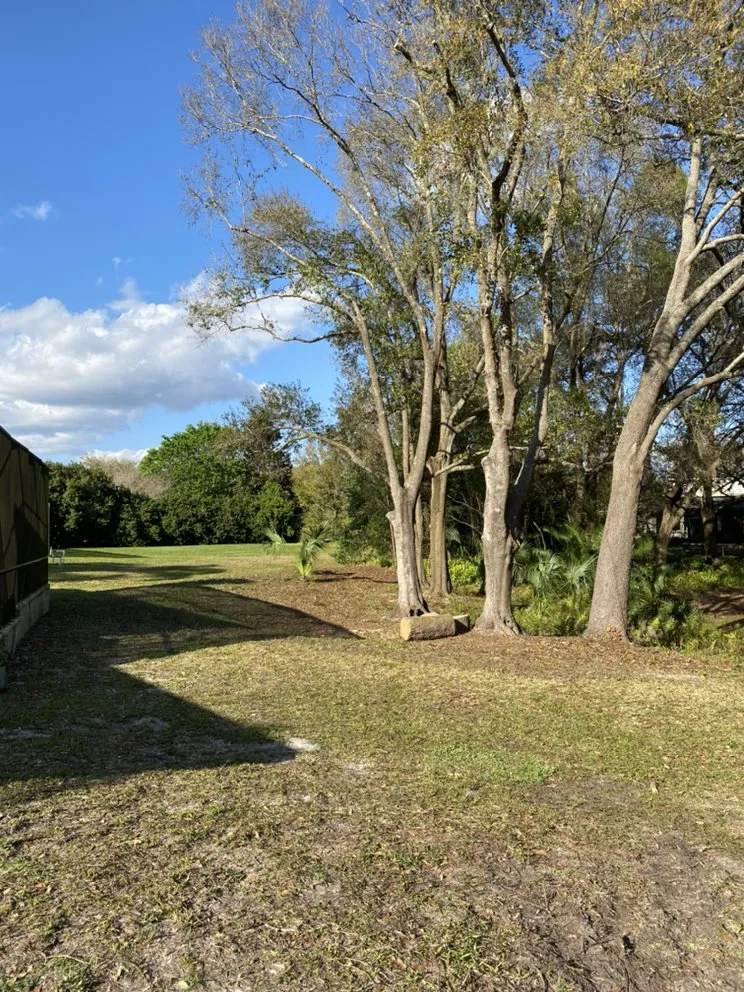 Reliable landscaping services for outdoor upgrades across Spring Hill, FL - Landscapeology