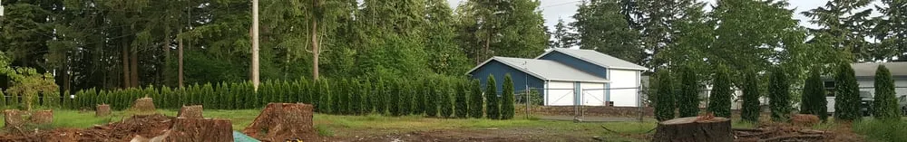 Top-rated landscape installation for outdoor upgrades in Bellingham, WA by Landscaper Ben