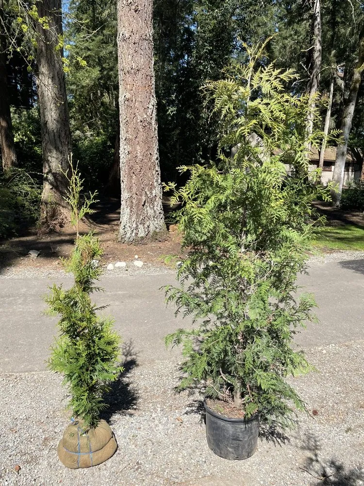 Professional residential landscaping in Bellingham, WA - Landscaper Ben