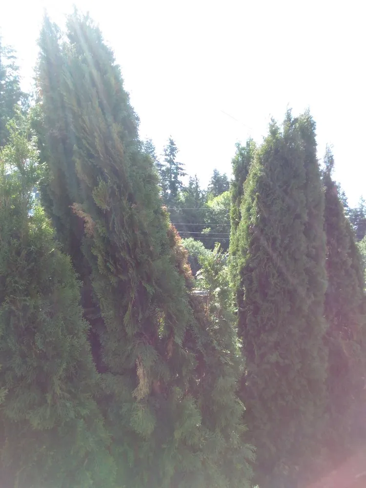 Trusted garden landscaping near you across Bellingham, WA - Landscaper Ben