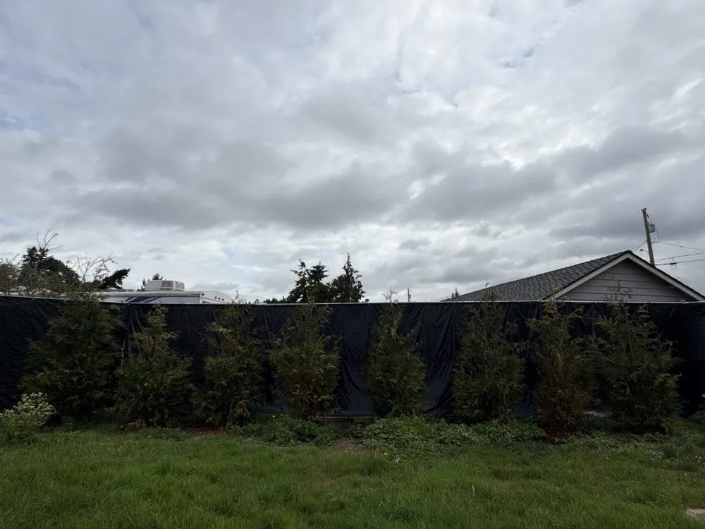 Reliable landscape design with custom design across Bellingham, WA - Landscaper Ben