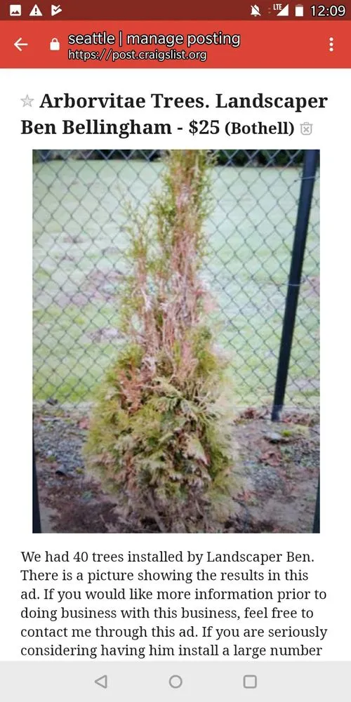 Expert landscaping services experts serving Bellingham, WA - Landscaper Ben