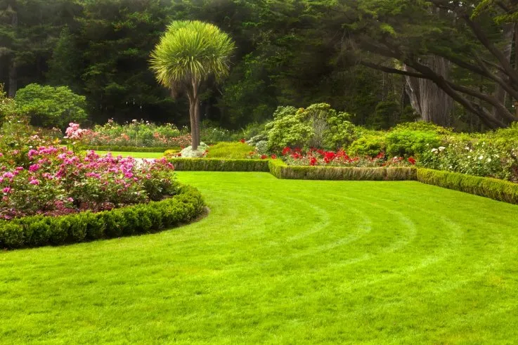 Trusted landscaping services in Boca Raton, FL by Landscaper Company