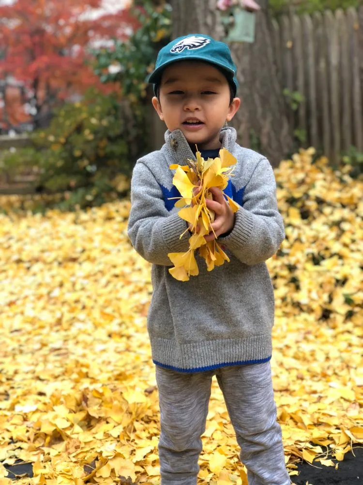 Top-rated landscaping services for year-round maintenance in Devon, PA by Landscaper Next Door