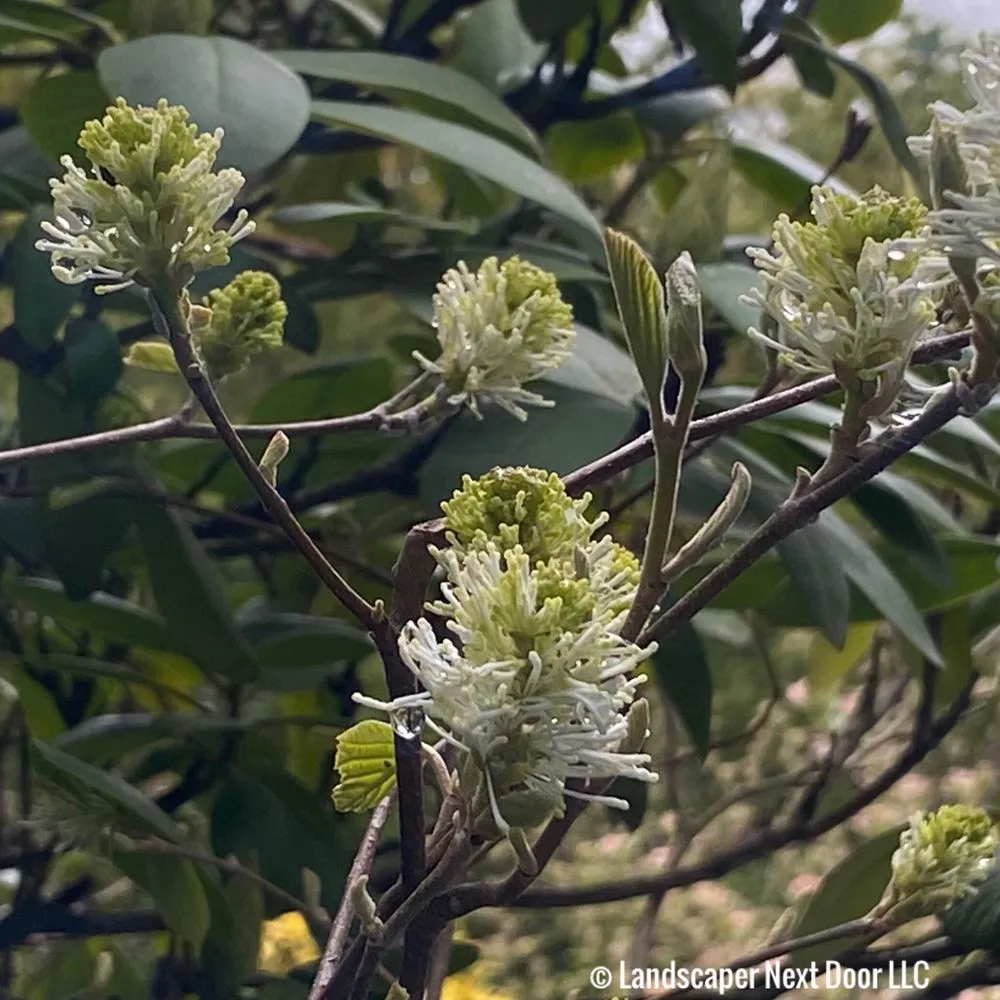 Custom yard maintenance in Devon, PA by Landscaper Next Door