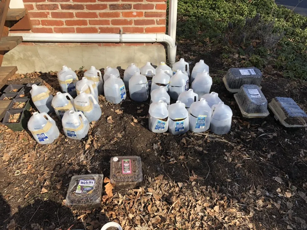 Trusted landscaping services in Devon, PA - Landscaper Next Door