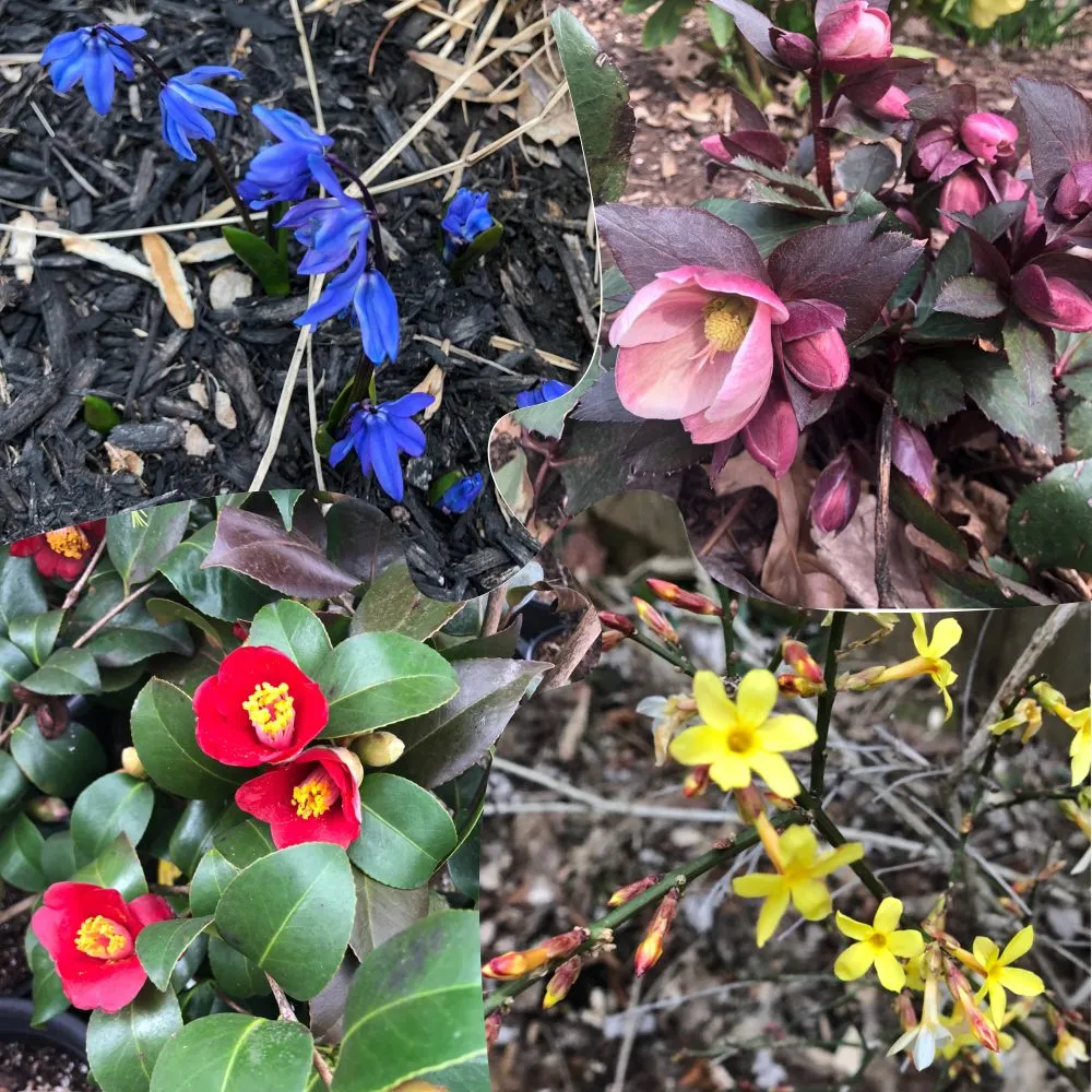 Affordable residential landscaping for beautiful yards across Devon, PA - Landscaper Next Door