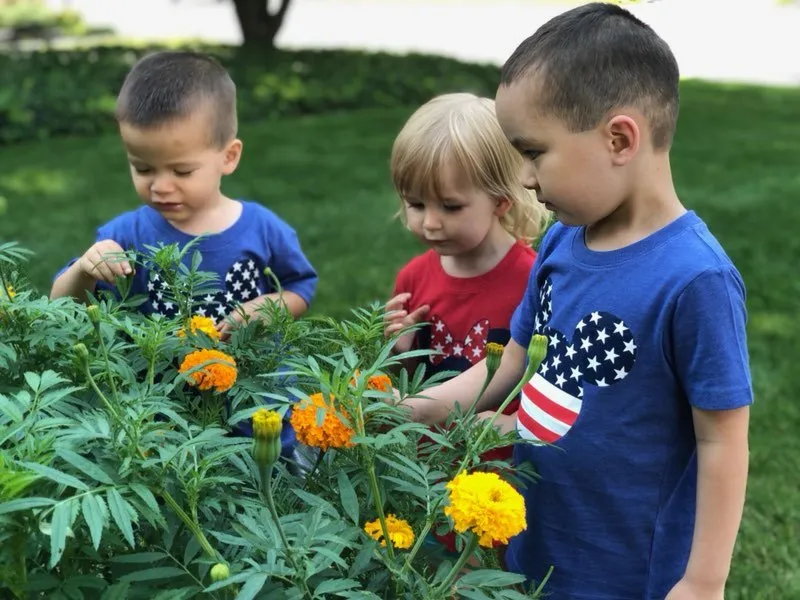 Local garden landscaping for residential properties across Devon, PA - Landscaper Next Door