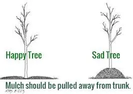 Top-rated residential landscaping experts serving Devon, PA - Landscaper Next Door