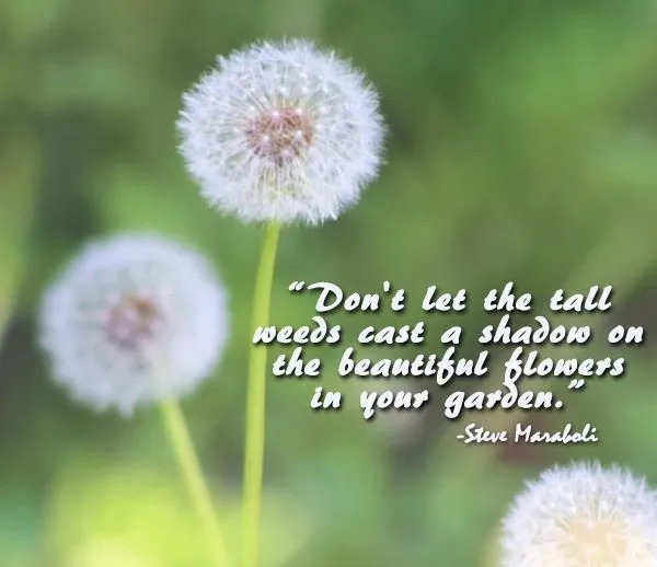 Professional lawn mowing service experts serving Devon, PA - Landscaper Next Door