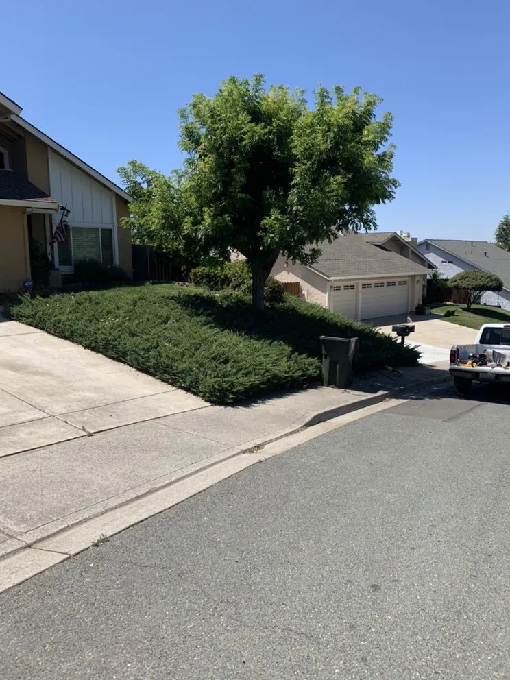 Professional garden landscaping in Pittsburg, CA by Landscapers Bay Area Pros