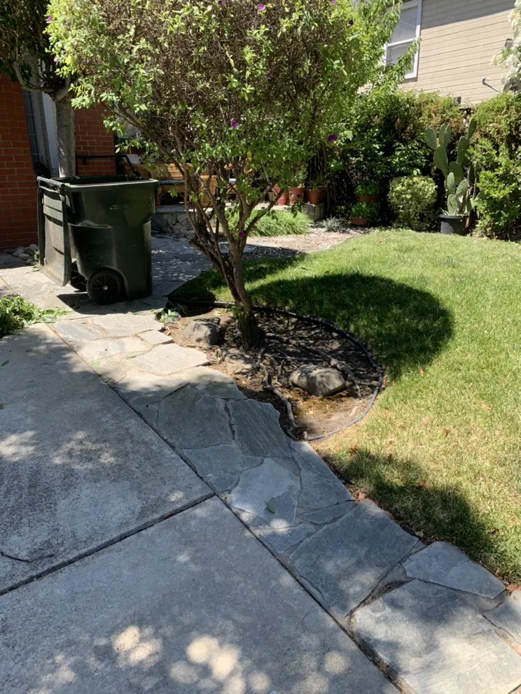 Trusted landscaping services in Pittsburg, CA by Landscapers Bay Area Pros