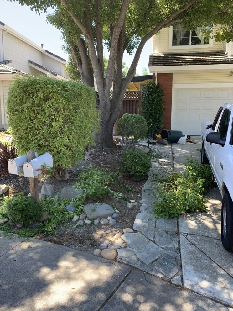 Local landscape installation near you across Pittsburg, CA - Landscapers Bay Area Pros