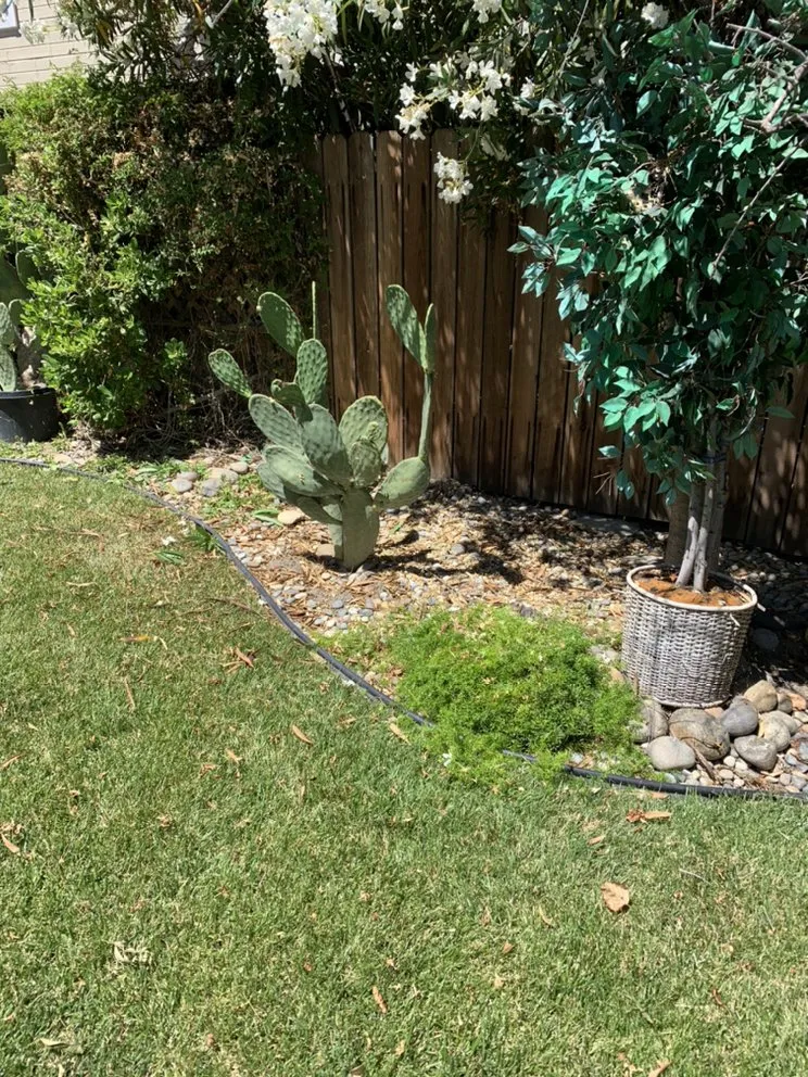 Professional yard cleanup service experts serving Pittsburg, CA - Landscapers Bay Area Pros