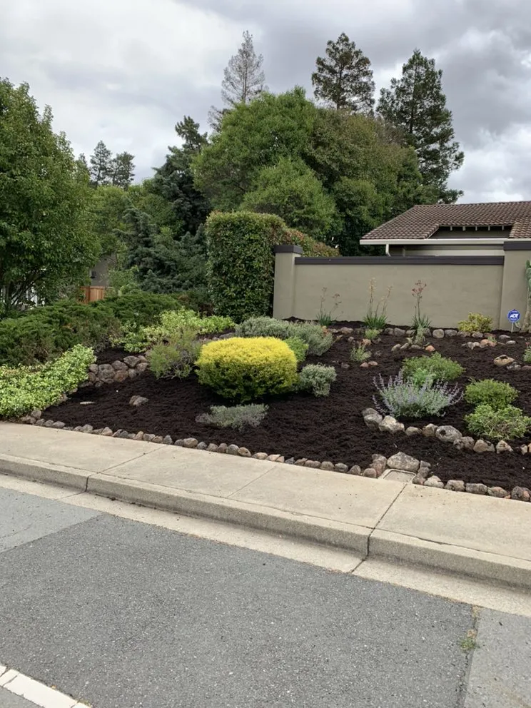 Top-rated outdoor landscaping in Pittsburg, CA by Landscapers Bay Area Pros