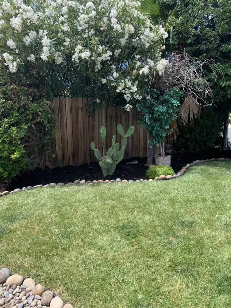 Trusted landscape design for residential properties across Pittsburg, CA - Landscapers Bay Area Pros