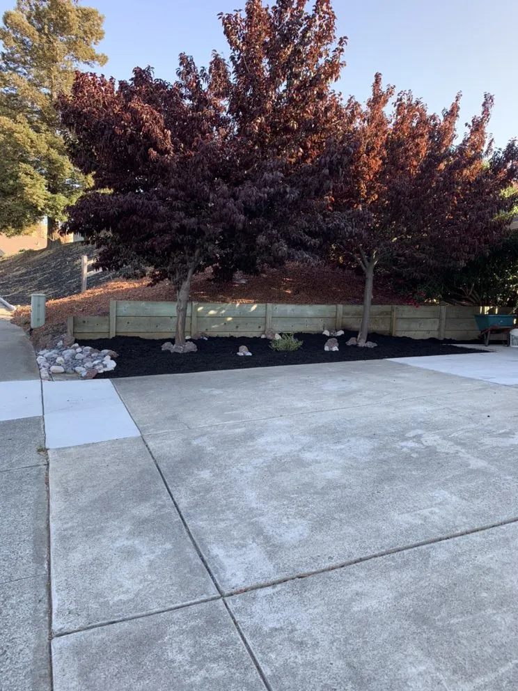 Affordable yard cleanup service in Pittsburg, CA by Landscapers Bay Area Pros