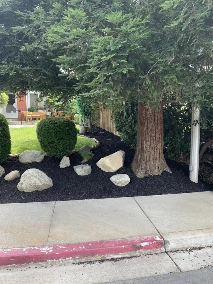 Local residential landscaping in Pittsburg, CA - Landscapers Bay Area Pros