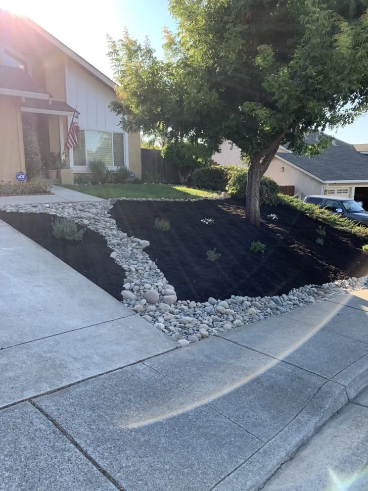 Top-rated yard cleanup service for residential properties in Pittsburg, CA by Landscapers Bay Area Pros