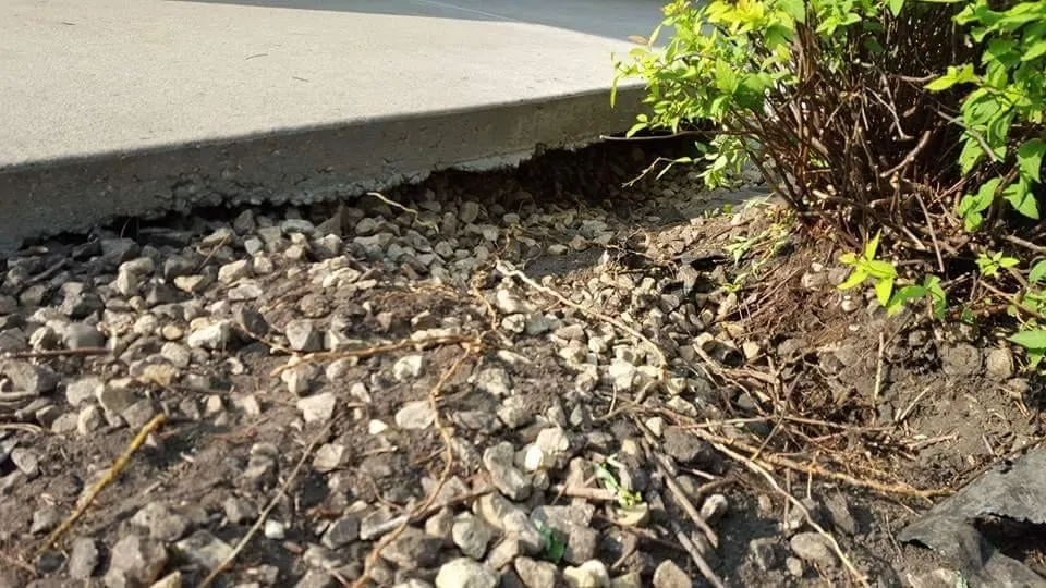 Trusted yard maintenance in Circle Pines, MN by Landscapers