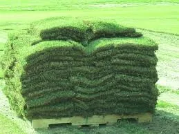 Landscapers Discount Supplies Logo