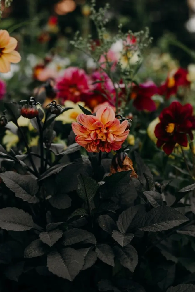 Top-rated lawn care service for beautiful yards across Petal, MS - Landscapers R' Us