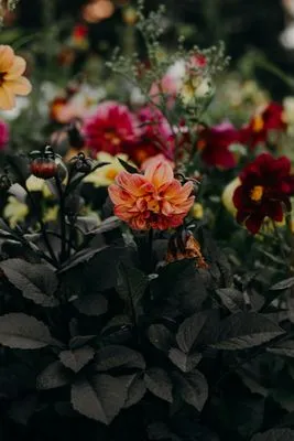 Landscapers R' Us Logo